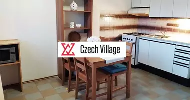 Mieszkanie 3 pokoi w Most, Czechy