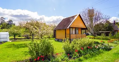 Haus in Naujikai, Litauen