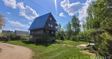 Haus in Nieharelski sielski Saviet, Weißrussland