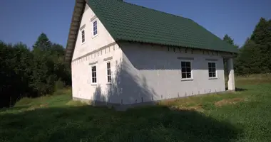 House in Abejuciai, Lithuania