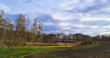 Terrain dans Buszewo, Pologne