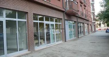 Propiedad comercial 65 m² en Debreceni jaras, Hungría