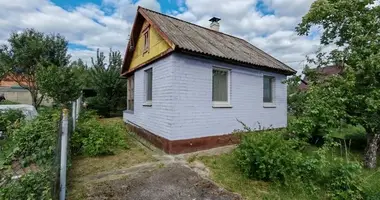House in Holacki sielski Saviet, Belarus