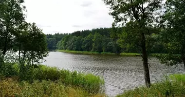 Terrain dans Paskonys, Lituanie