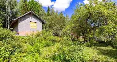 Haus in Bialarucki siel ski Saviet, Weißrussland