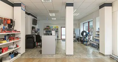 Gewerbefläche 2 220 m² in Vilnius, Litauen