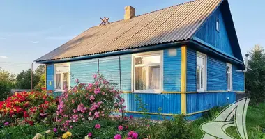 House in Novyja Lyscycy, Belarus