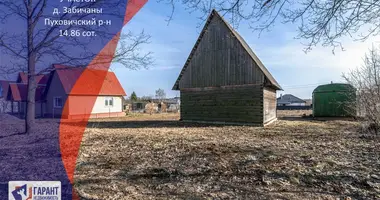 Plot of land in Piarezyrski sielski Saviet, Belarus