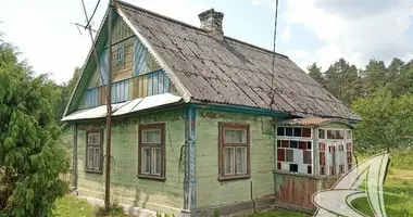 House in Kamieniuki, Belarus