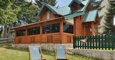 4 bedroom house in Zabljak, Montenegro