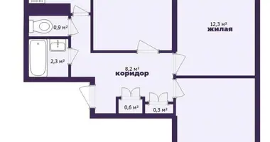 3 room apartment in Minsk, Belarus