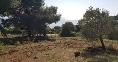 Plot of land in Polygyros, Greece