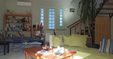 9 room house in Budapest, Hungary