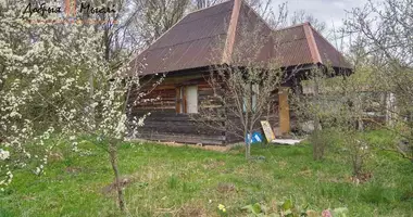 Casa en Stankauski sielski Saviet, Bielorrusia