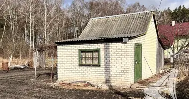 Grundstück in cerninski siel ski Saviet, Weißrussland