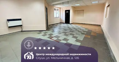 Shop 72 m² in Sluck, Belarus