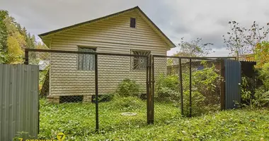 House in Kalodziscanski sielski Saviet, Belarus