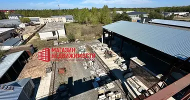Producción 2 300 m² en Novaja Hoza, Belarús