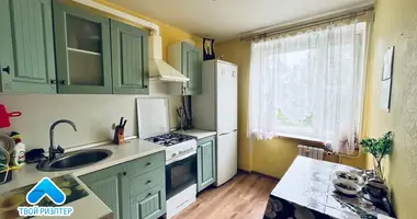 Wohnung 3 zimmer in Masyr, Belarus