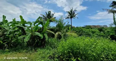 Parcela en Sengkol, Indonesia