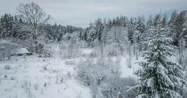 Plot of land in Drumulis, Lithuania