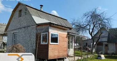 Casa en Aliachnovicki sielski Saviet, Bielorrusia