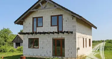 House in carnaucycki sielski Saviet, Belarus