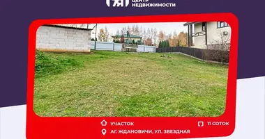 Plot of land in Zhdanovichy, Belarus