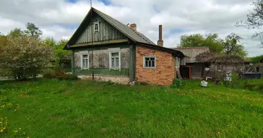 Дом в Чижевичский сельский Совет, Беларусь