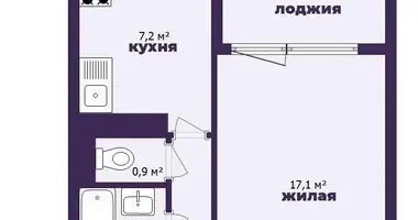 Appartement 1 chambre dans Minsk, Bélarus