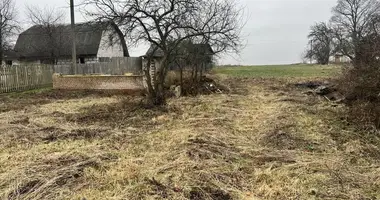 Casa en Voukavicy, Bielorrusia