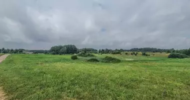 Plot of land in Strielciai, Lithuania