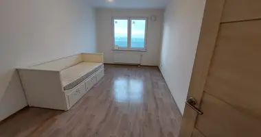2 room apartment in Saint Petersburg, Russia