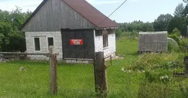 House in Kamienski sielski Saviet, Belarus