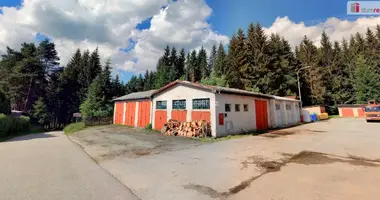 Commercial property 515 m² in Benesov nad cernou, Czech Republic