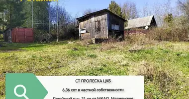 Parcela en Balarucki selski Savet, Belarús