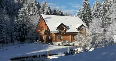 7 bedroom house in Carinthia, Austria