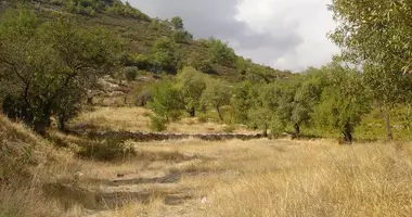 Plot of land in Pera Pedi, Cyprus