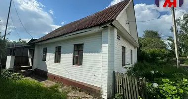 House in Losnica, Belarus