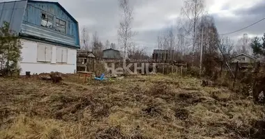 House in Bor, Russia