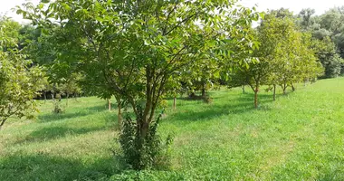 Plot of land in Szokedencs, Hungary