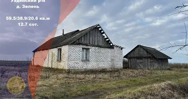 House in Dziescanski sielski Saviet, Belarus