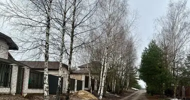Cottage in Bialarucki sielski Saviet, Belarus