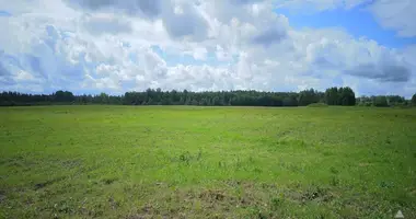 Plot of land in Tiegazi, Latvia