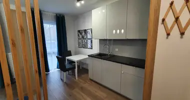 Apartamento 1 habitación en Cracovia, Polonia