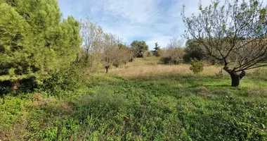 Plot of land in Settlement "Vines", Greece