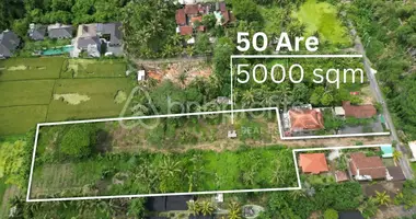 Plot of land in Ubud, Indonesia