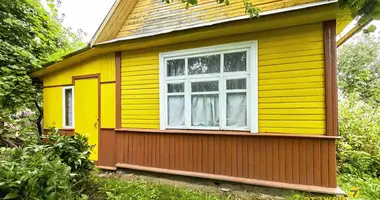 House in Zdanovicki sielski Saviet, Belarus