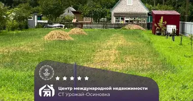 Grundstück in Karaniouski sielski Saviet, Belarus