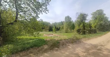 Działka w Putcynski selski Savet, Białoruś